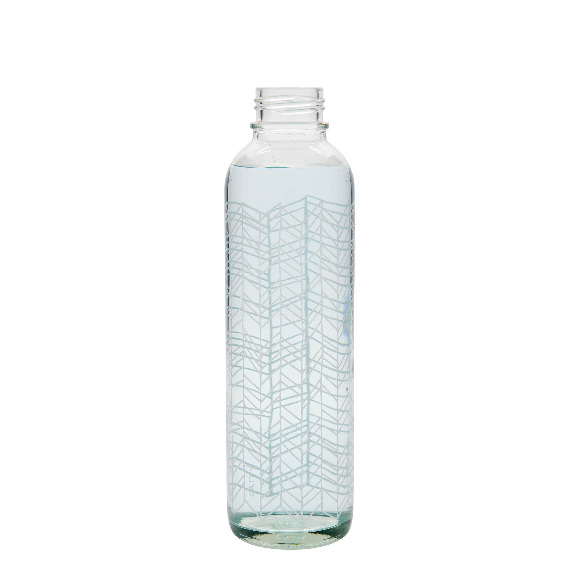 700 ml joogipudel CARRY Bottle 'Elu struktuur', ava: keeratava korgiga 700 ml joogipudel CARRY Bottle 'Elu struktuur', ava: keeratava korgiga