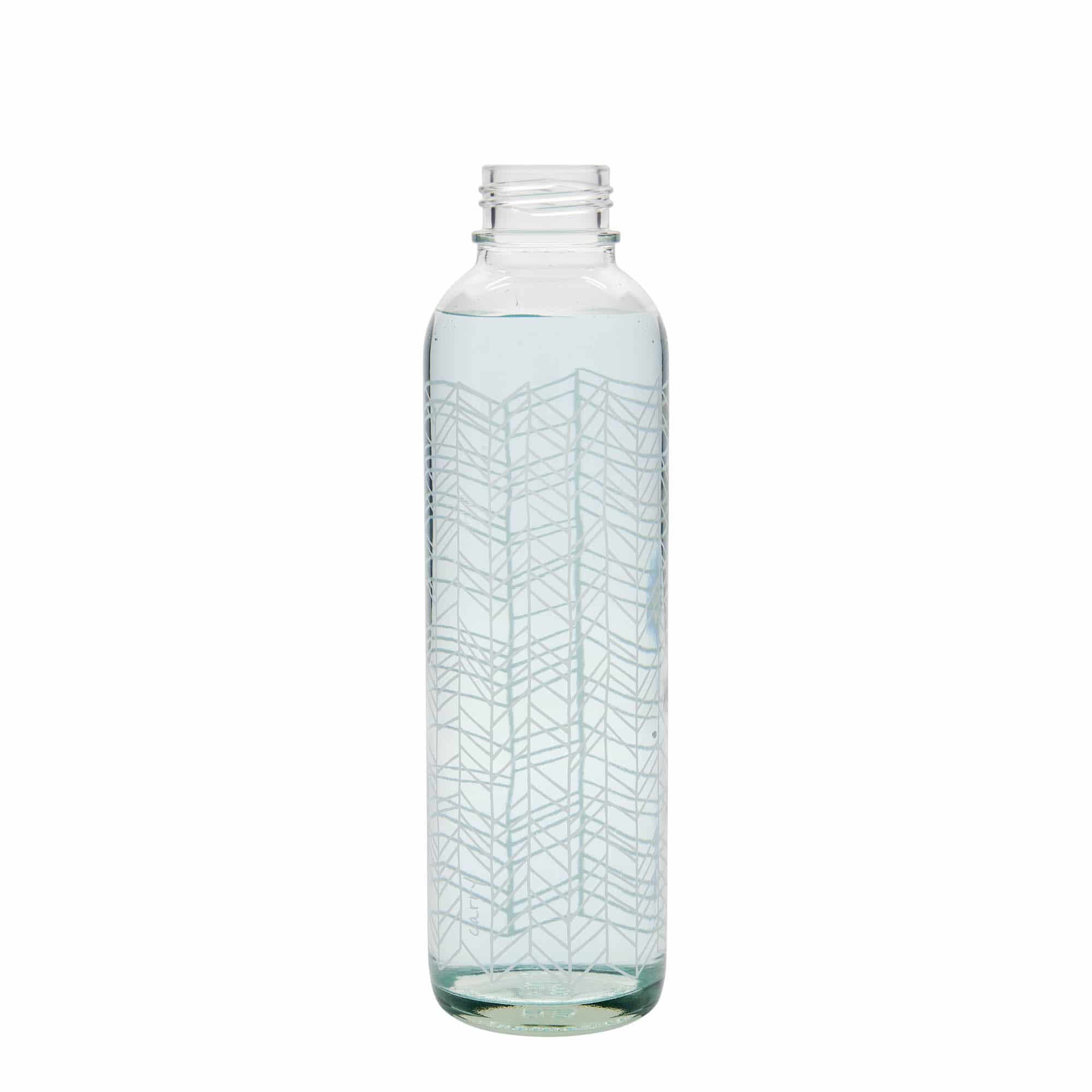 700 ml joogipudel CARRY Bottle 'Elu struktuur', ava: keeratava korgiga