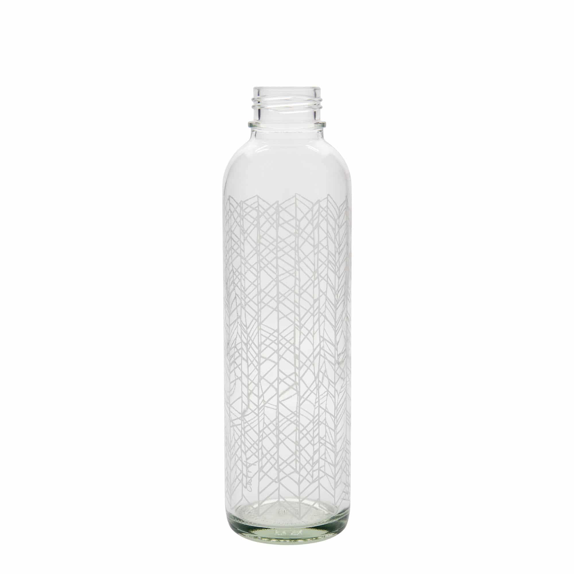 700 ml joogipudel CARRY Bottle 'Elu struktuur', ava: keeratava korgiga