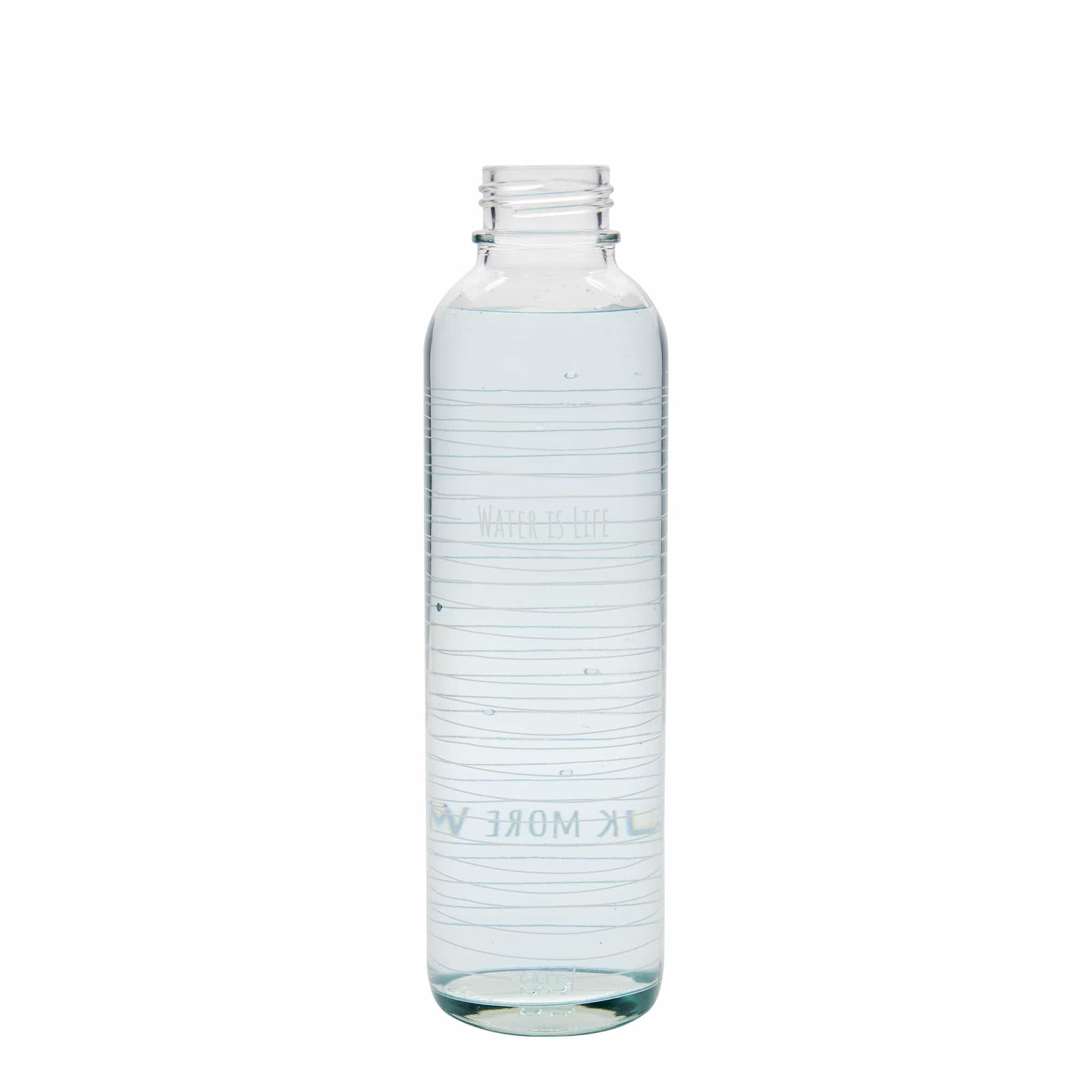 700 ml joogipudel CARRY Bottle 'Water is Life', suuava: kruvikork